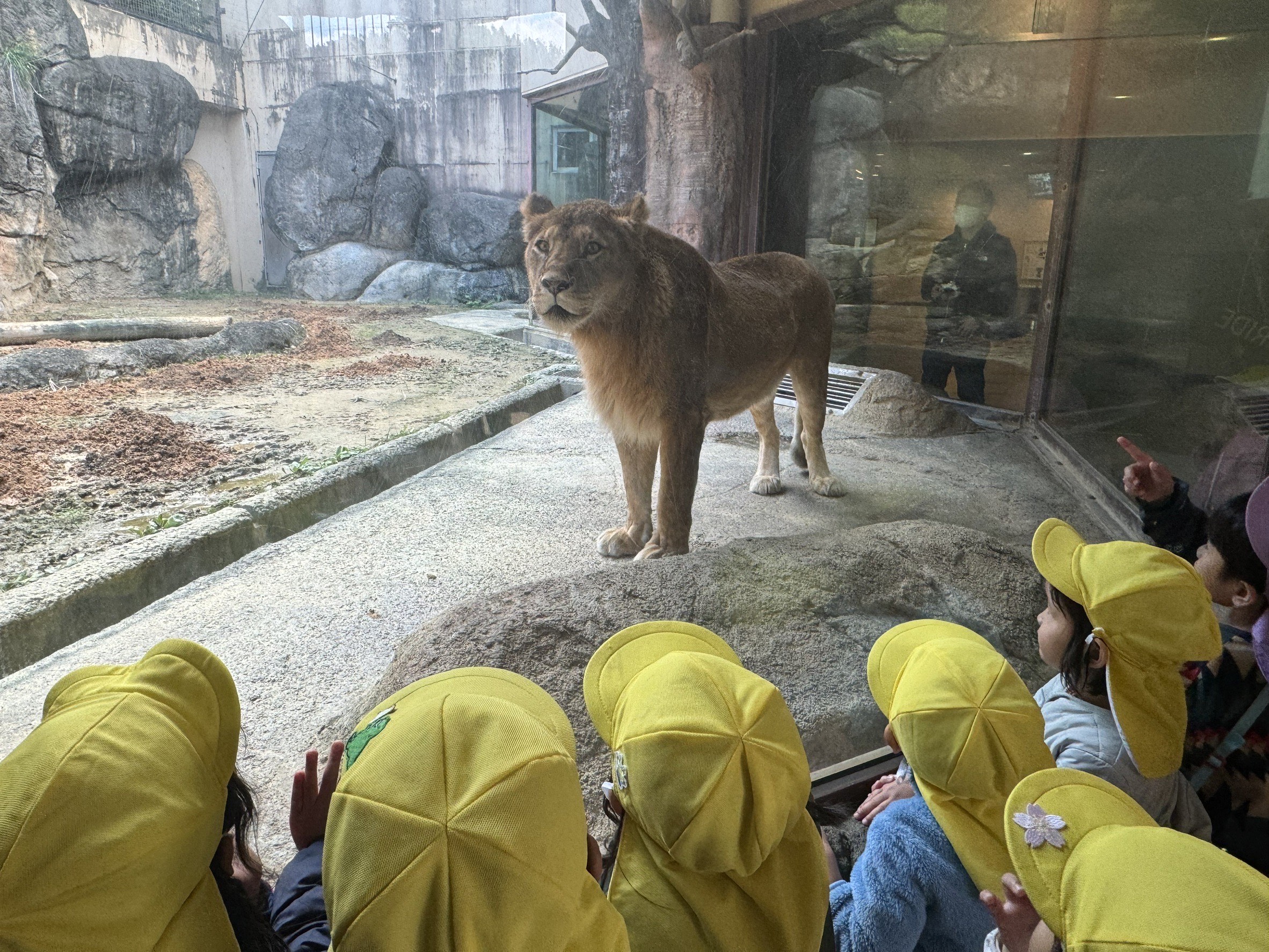 秋の遠足　～日本平動物園～